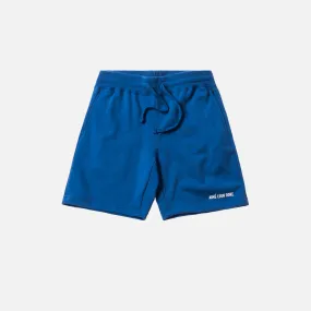 Aimé Leon Dore Logo Camper Shorts - Royal