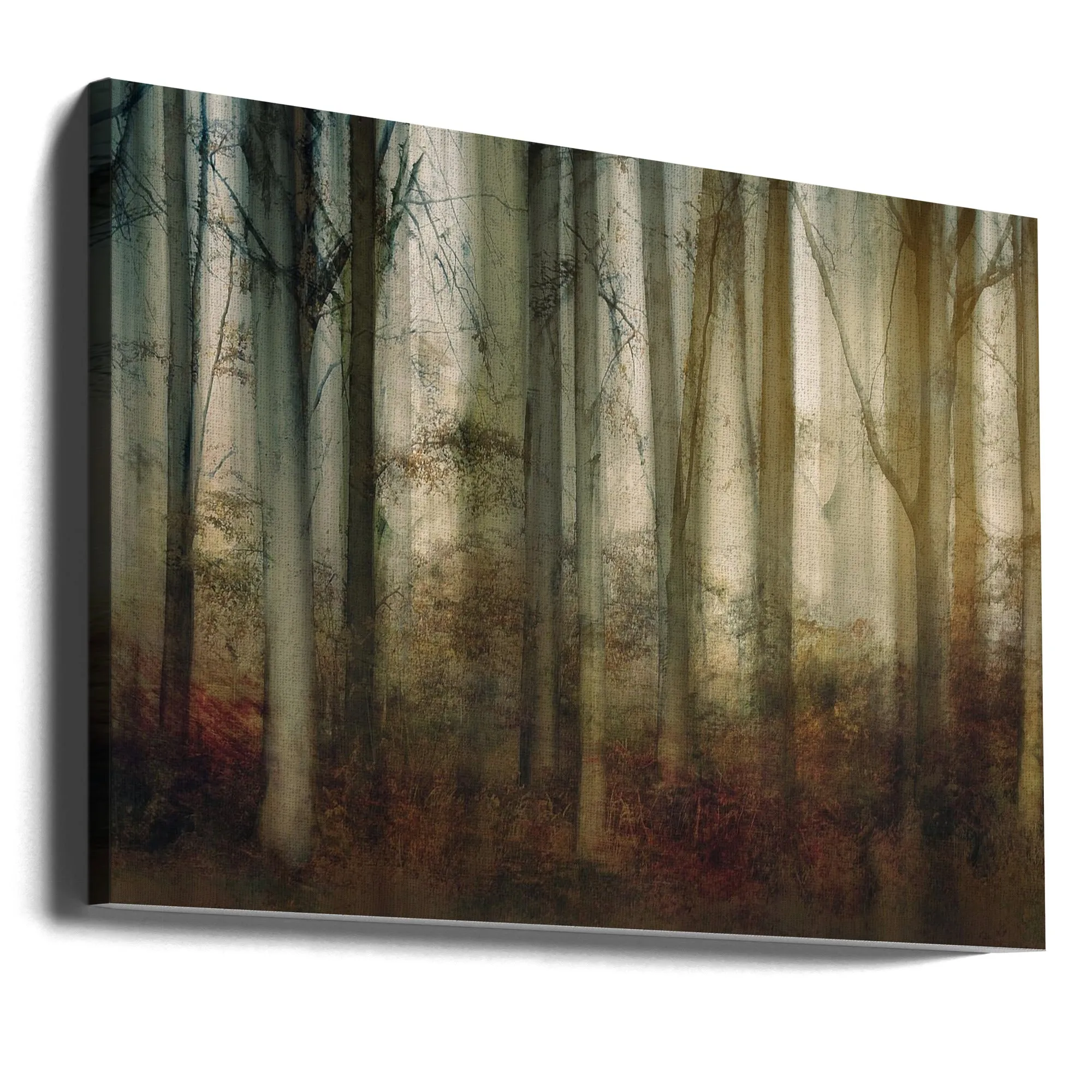 Autumn Light by Nel Talen - Stretched Canvas, Poster or Fine Art Print