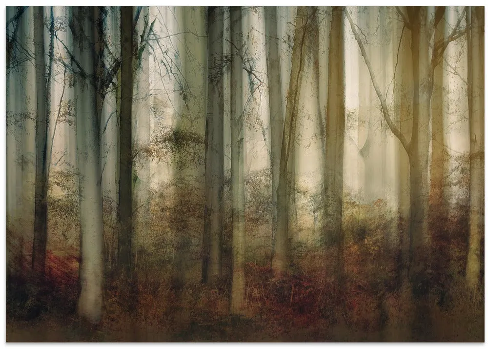 Autumn Light by Nel Talen - Stretched Canvas, Poster or Fine Art Print