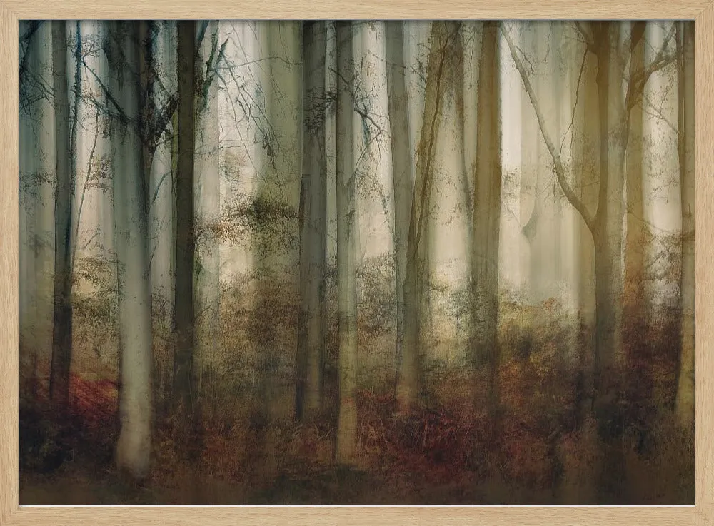 Autumn Light by Nel Talen - Stretched Canvas, Poster or Fine Art Print