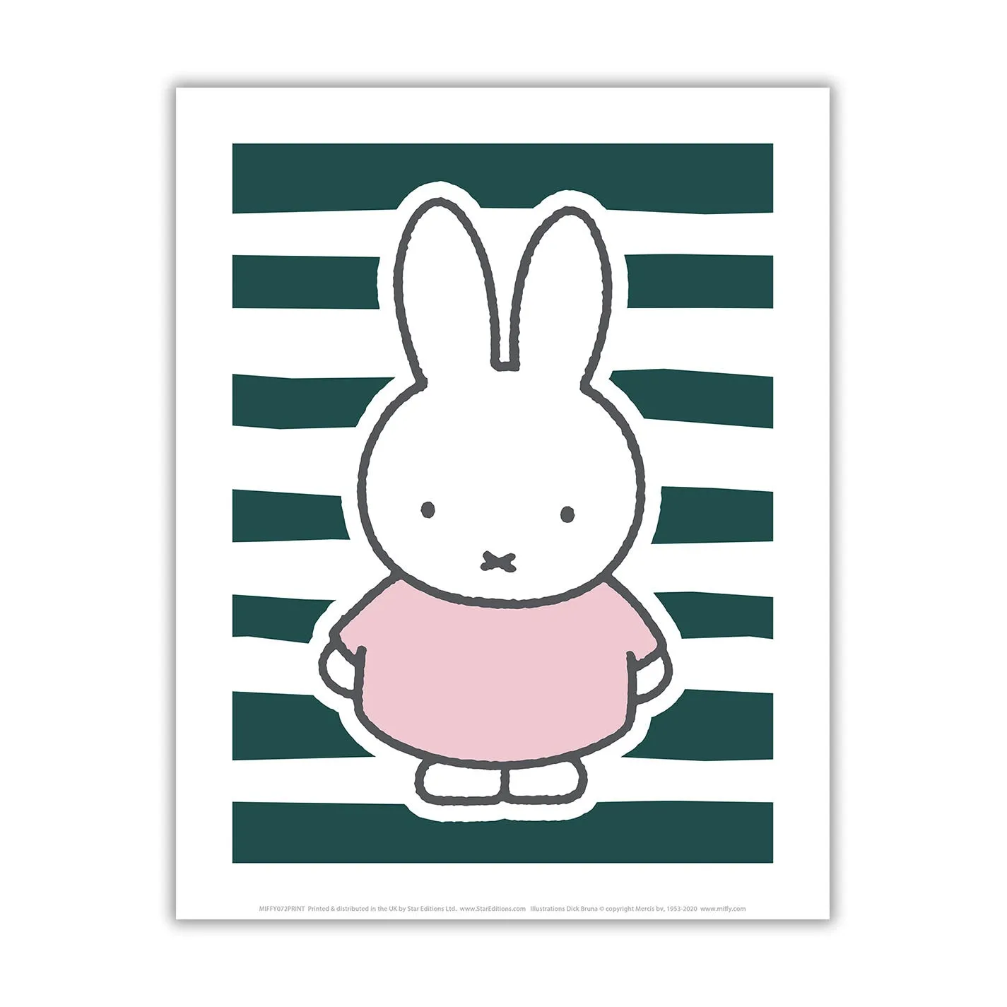 miffy floral expression stripes mini poster