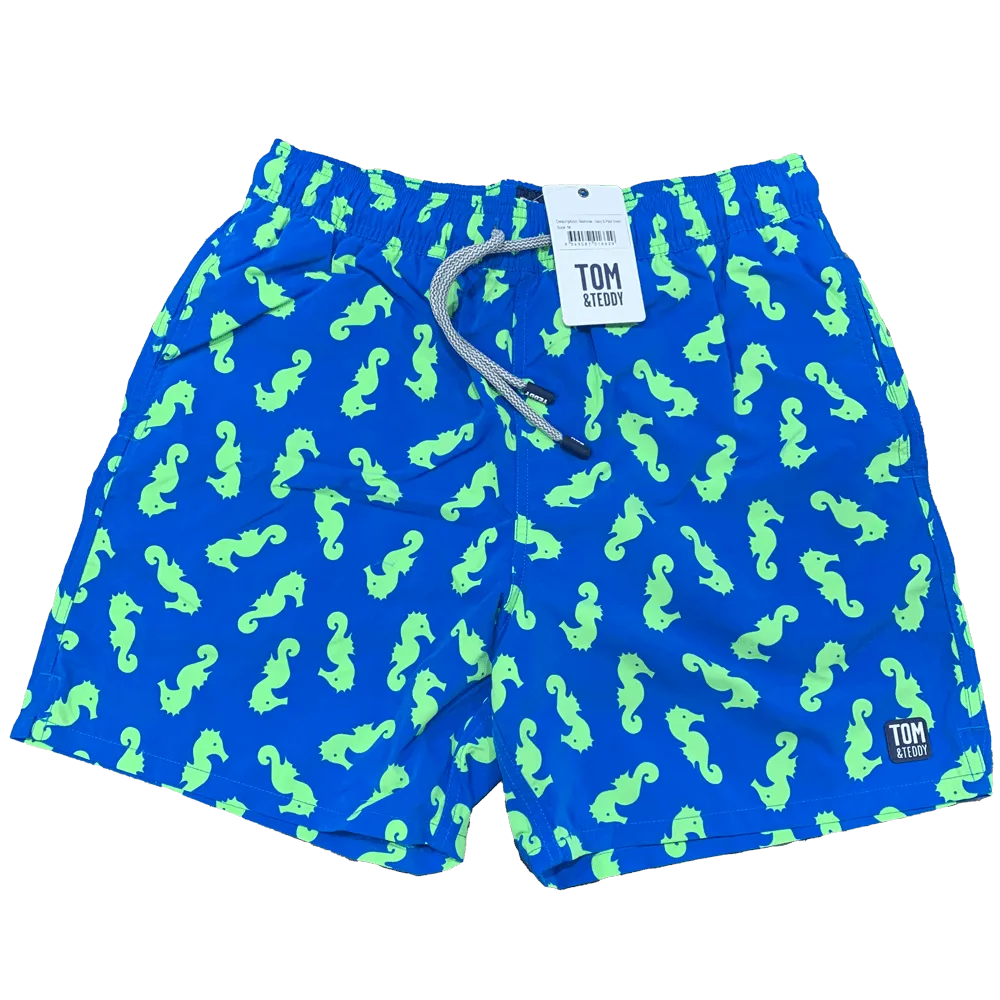 Seahorse-Green-Blue